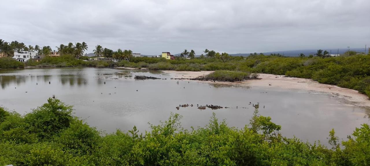 Flamingos House Puerto Villamil Eksteriør bilde